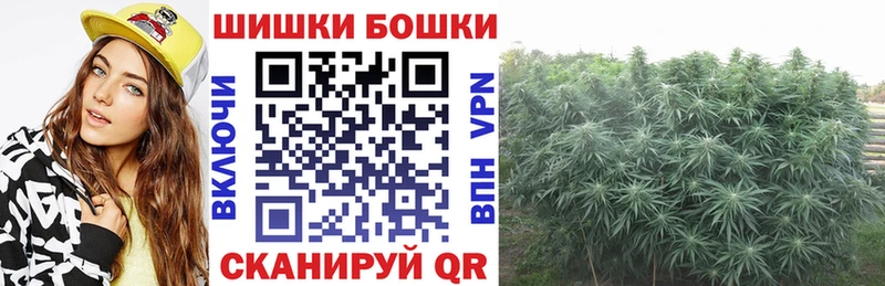 Бошки Шишки сатива  Купить  Давлеканово 